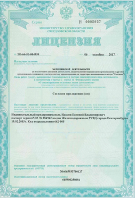 Лицензия